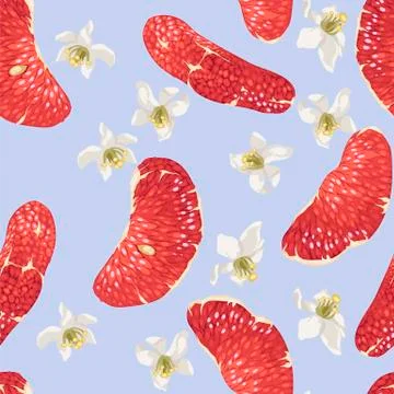 Seamless pattern with citrus slices and flowers in vector Stock Illustration