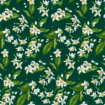 Seamless pattern with citrus tree branches made in green and white colors in Stock Illustration