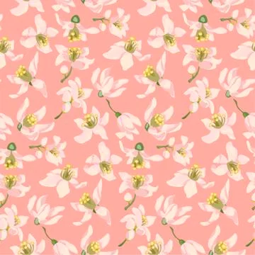 Seamless pattern with citrus tree flowers of different types such as an orang Stock Illustration