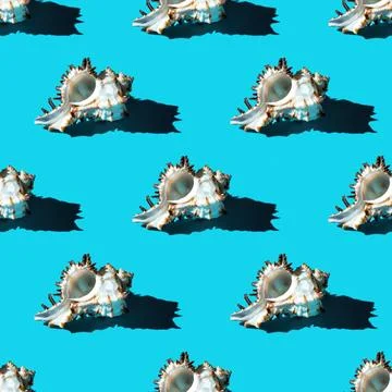 Seamless pattern of clam shells on a blue background. Foto stock