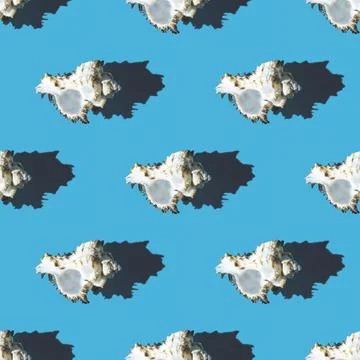 Seamless pattern of clam shells on a blue background. Stock Photos