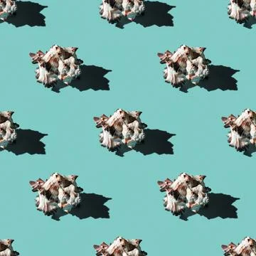 Seamless pattern of clam shells on a blue background. Stock Photos