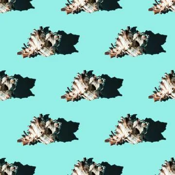 Seamless pattern of clam shells on a cyan background. Stock Photos