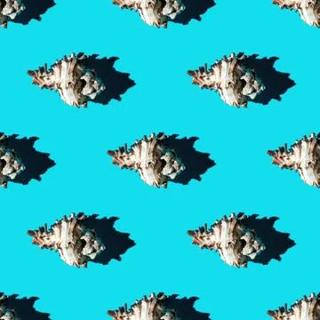 Seamless pattern of clam shells on a cyan background. Stock Photos