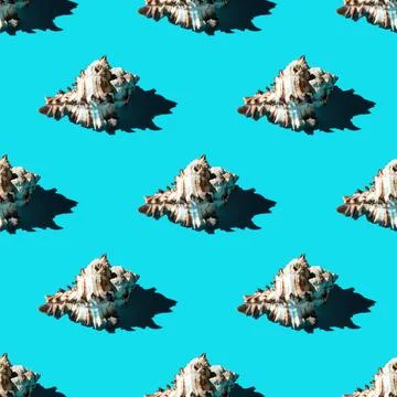 Seamless pattern of clam shells on a cyan background. Stock Photos