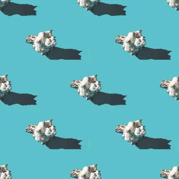 Seamless pattern of clam shells on a cyan background. Stock Photos