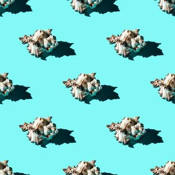 Seamless pattern of clam shells on a cyan background. Stock Photos