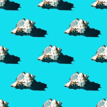 Seamless pattern of clam shells on a cyan background. Stock Photos