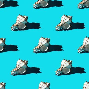 Seamless pattern of clam shells on a cyan background. Stock Photos