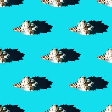 Seamless pattern of clam shells on a cyan background. Stock Photos