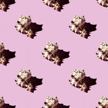 Seamless pattern of clam shells on a pastel pink background. Stock Photos