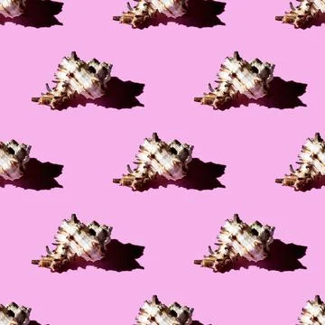 Seamless pattern of clam shells on a pastel background. Stock Photos
