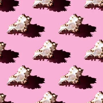Seamless pattern of clam shells on a pastel background. Stock Photos