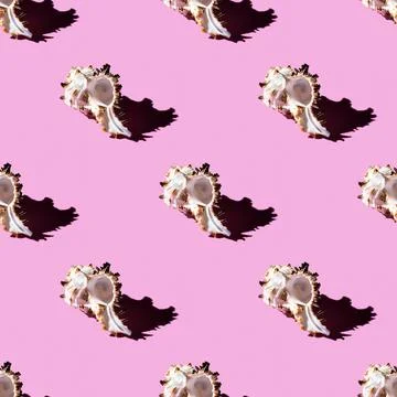 Seamless pattern of clam shells on a pastel background. Stock Photos