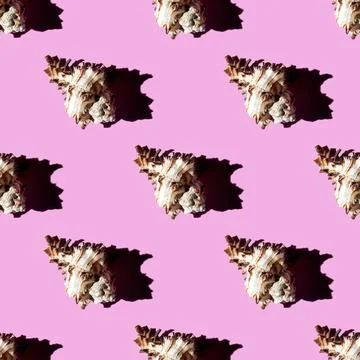 Seamless pattern of clam shells on a pastel background. Stock Photos