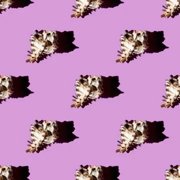 Seamless pattern of clam shells on a pastel background. Stock Photos
