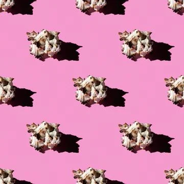 Seamless pattern of clam shells on a pastel background. Stock Photos