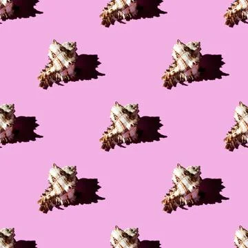 Seamless pattern of clam shells on a pastel background. Stock Photos