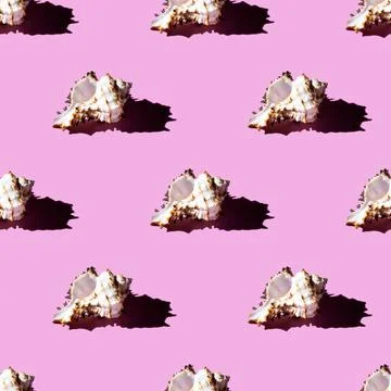 Seamless pattern of clam shells on a pastel background. Stock Photos