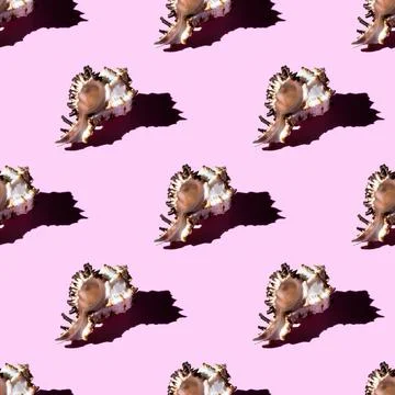 Seamless pattern of clam shells on a pastel pink background. Stock Photos