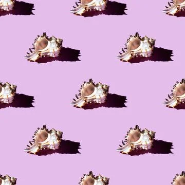 Seamless pattern of clam shells on a pastel pink background. Stock Photos
