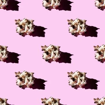 Seamless pattern of clam shells on a pastel pink background. Stock Photos