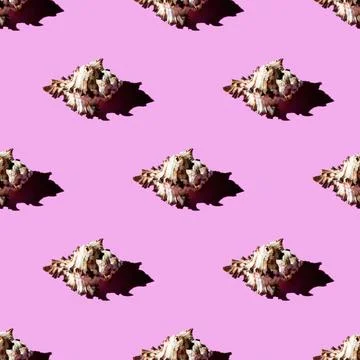 Seamless pattern of clam shells on a pastel background. Stock Photos