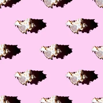 Seamless pattern of clam shells on a pastel pink background. Stock Photos