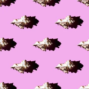 Seamless pattern of clam shells on a pastel background. Stock Photos