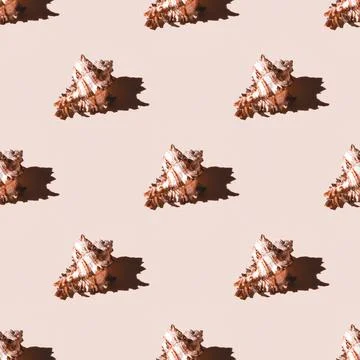 Seamless pattern of clam shells on a pastel orange background. Stock Photos