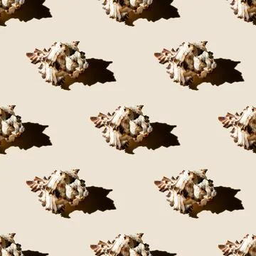 Seamless pattern of clam shells on a pastel yellow background. Stock Photos