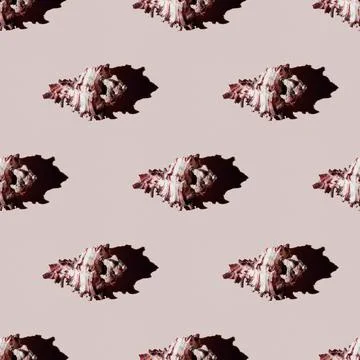 Seamless pattern of clam shells on a pastel yellow background. Stock Photos