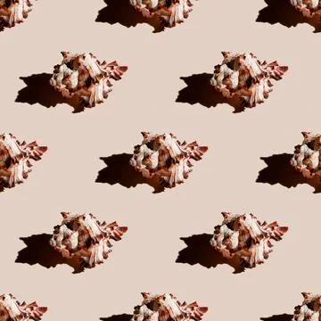 Seamless pattern of clam shells on a pastel orange background. Stock Photos