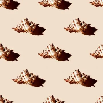 Seamless pattern of clam shells on a pastel orange background. Stock Photos