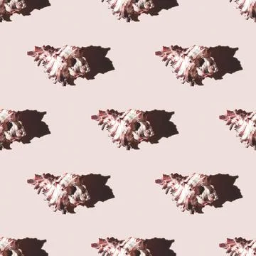 Seamless pattern of clam shells on a pastel yellow background. Foto stock