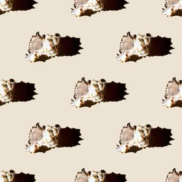 Seamless pattern of clam shells on a pastel yellow background. Stock Photos