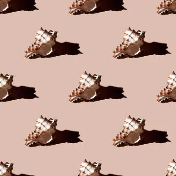 Seamless pattern of clam shells on a pastel orange background. Foto stock