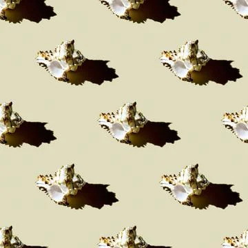 Seamless pattern of clam shells on a pastel yellow background. Stock Photos