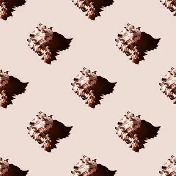 Seamless pattern of clam shells on a pastel yellow background. Stock Photos