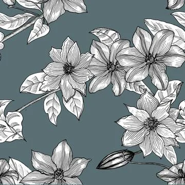 Seamless pattern with clematis. Hand drawn. Graphics. Illustrazione stock