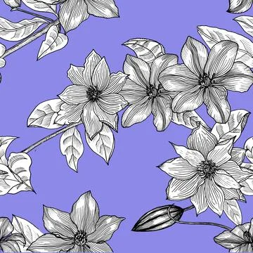 Seamless pattern with clematis. Hand drawn. Graphics. Illustrazione stock