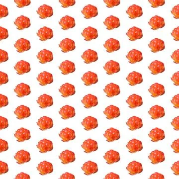 Seamless pattern of cloudberries without leaves isolated on a white Stock Photos