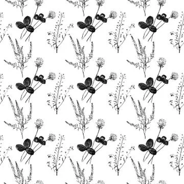 Seamless pattern. clover, grass, plant Stock Illustration