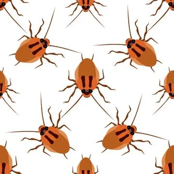 Seamless pattern cockroach on a white background Illustrazione stock
