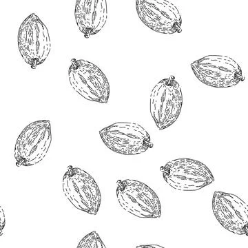 Seamless pattern cocoa bean sketch hand drawn Stock Illustration