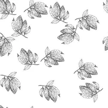 Seamless pattern cocoa bean sketch hand drawn Stockillustratie