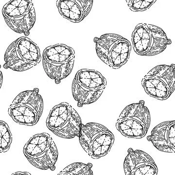Seamless pattern cocoa bean sketch hand drawn Stockillustratie