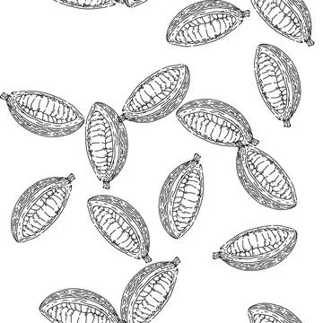 Seamless pattern cocoa bean sketch hand drawn Illustrazione stock