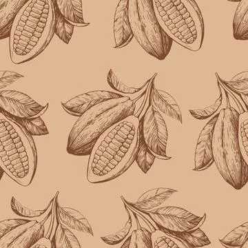 Seamless pattern with cocoa beans. Hand-drawn monochrome vector illustration. Illustrazione stock