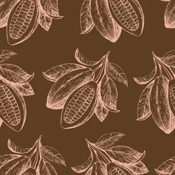 Seamless pattern with cocoa beans. Hand-drawn monochrome vector illustration. Stock Illustration
